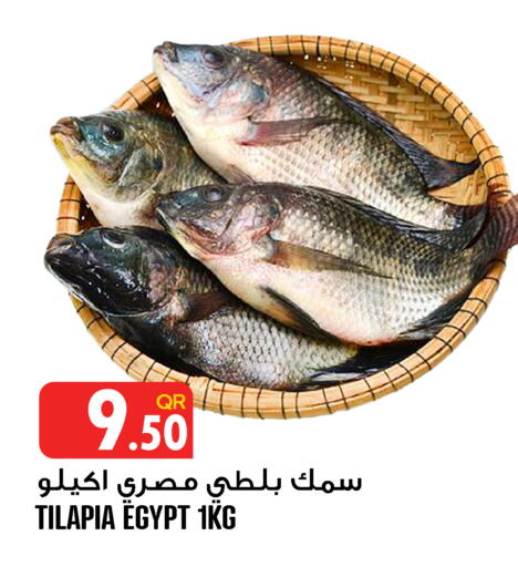 available at قصر الأغذية هايبرماركت in قطر - الدوحة