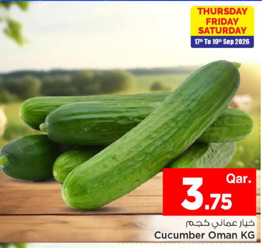 Cucumber from Oman available at Mark & Save  in Qatar - Al Wakra