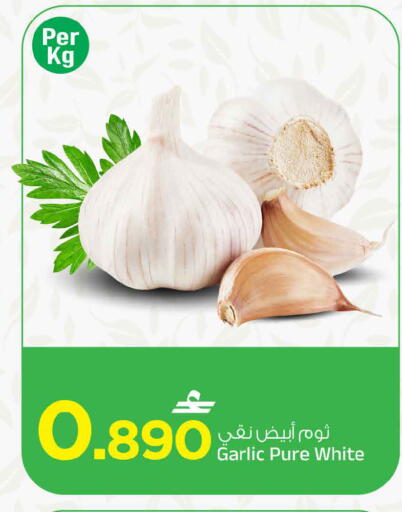 Garlic available at مارك & سايف in عُمان - مسقط‎