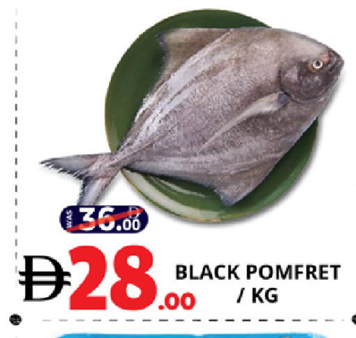 available at EXPRESS AL MADEENA HYPERMARKET LLC in UAE - Abu Dhabi