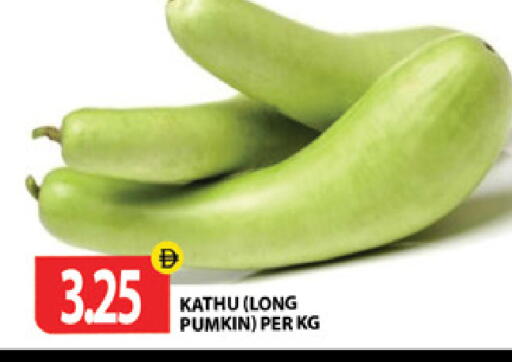 Pumkin available at جلف هايبرماركت ذ.م.م in الإمارات العربية المتحدة , الامارات - رَأْس ٱلْخَيْمَة