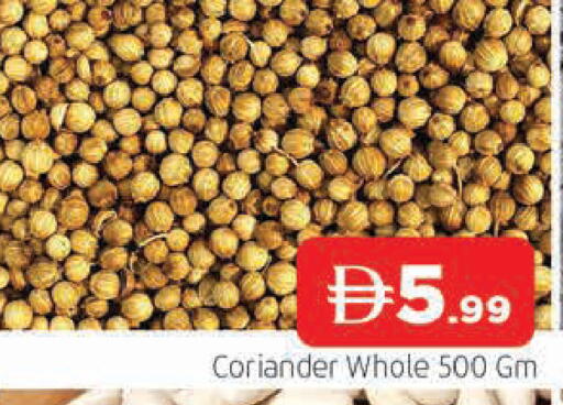 Coriander available at AL MADINA in UAE - Sharjah / Ajman