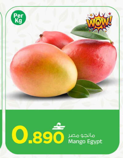 Mango from Egypt available at MARK & SAVE in Oman - Muscat