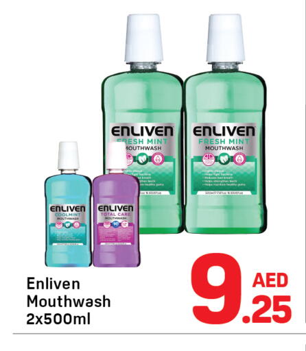 Mint available at Day to Day Department Store in UAE - Dubai