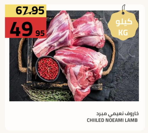 available at أسواق أسترا in مملكة العربية السعودية, السعودية, سعودية - تبوك