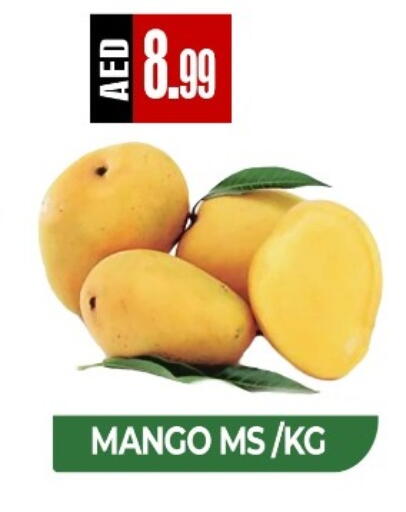 Mango available at ريفييرا سوبرماركت in الإمارات العربية المتحدة , الامارات - أبو ظبي