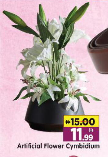 available at هايبر ماركت المدينة in الإمارات العربية المتحدة , الامارات - أبو ظبي
