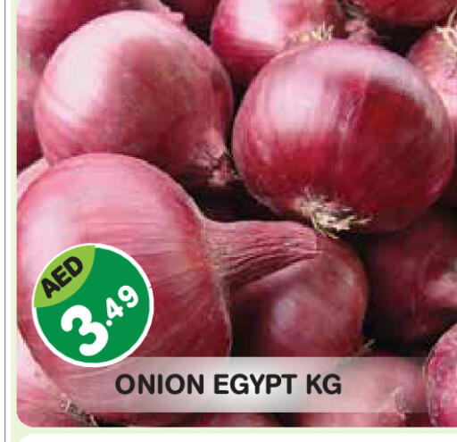 Onion from Egypt available at Baniyas Spike  in UAE - Abu Dhabi
