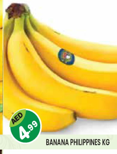 Banana from Philippines available at Baniyas Spike  in UAE - Abu Dhabi