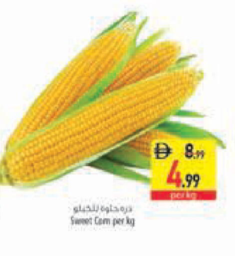 available at Safeer Market in UAE - Abu Dhabi