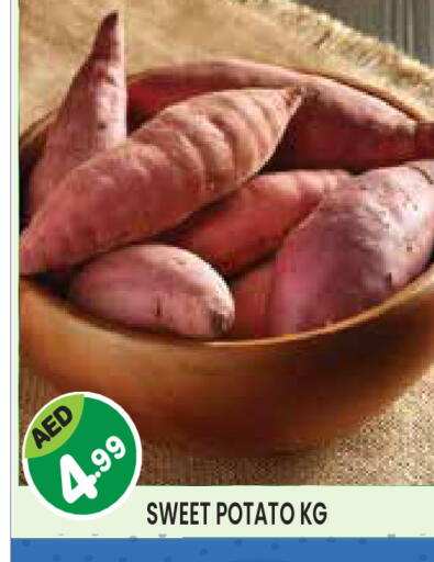 Sweet Potato available at Baniyas Spike  in UAE - Al Ain