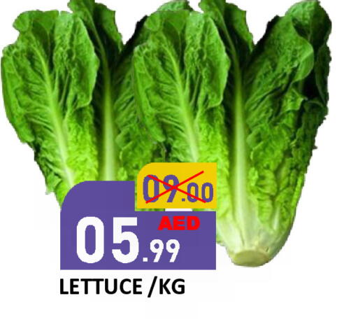 Lettuce available at رويال جلف هايبرماركت in الإمارات العربية المتحدة , الامارات - أبو ظبي