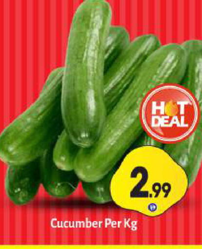 Cucumber available at BIGmart in UAE - Dubai
