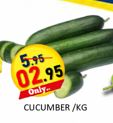 Cucumber available at رويال جلف هايبرماركت in الإمارات العربية المتحدة , الامارات - أبو ظبي