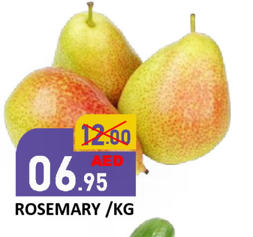 Rosemary available at ROYAL GULF HYPERMARKET LLC in UAE - Abu Dhabi