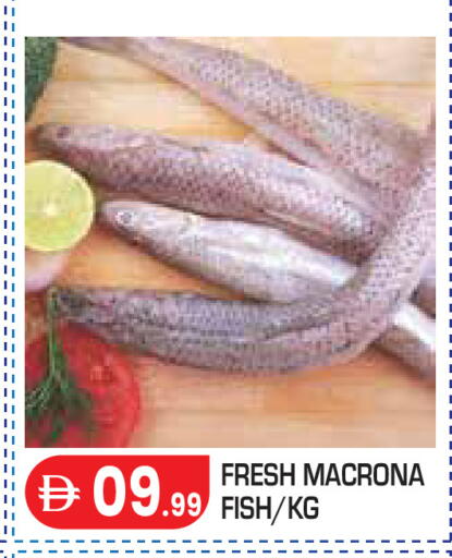 available at Baniyas Spike  in UAE - Abu Dhabi