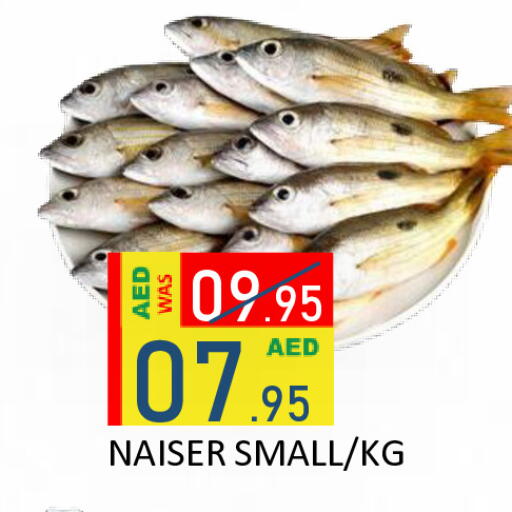 available at رويال جلف هايبرماركت in الإمارات العربية المتحدة , الامارات - أبو ظبي