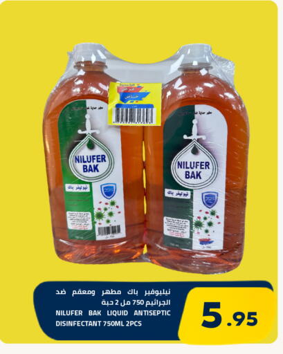 available at أسواق أسترا in مملكة العربية السعودية, السعودية, سعودية - تبوك