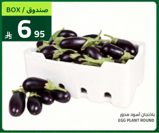 available at أسواق أسترا in مملكة العربية السعودية, السعودية, سعودية - تبوك