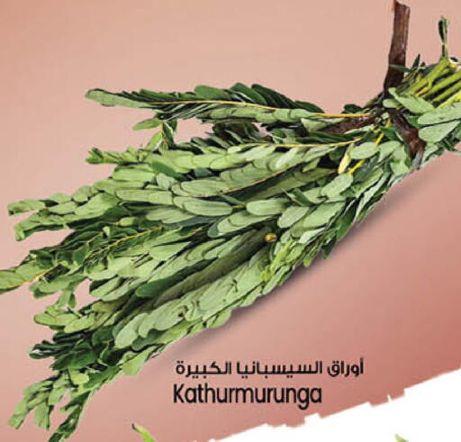available at سفاري هايبرماركت in الإمارات العربية المتحدة , الامارات - دبي