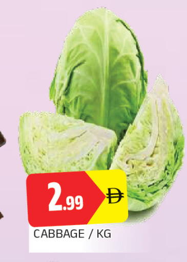 Cabbage available at AL MADINA in UAE - Sharjah / Ajman