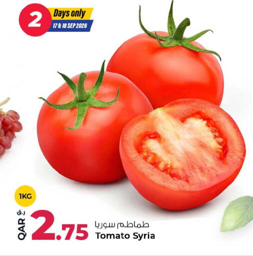 Tomato from Syria available at روابي هايبرماركت in قطر - الشمال
