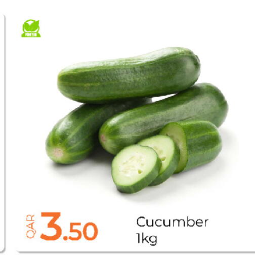 Cucumber available at جي-ماكس هايبرماركت in قطر - الدوحة