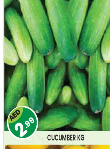 Cucumber available at Baniyas Spike  in UAE - Al Ain