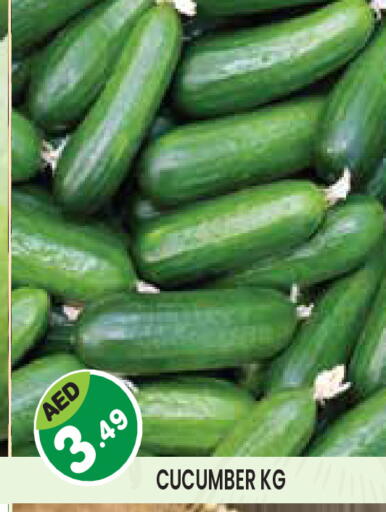 Cucumber available at Baniyas Spike  in UAE - Abu Dhabi