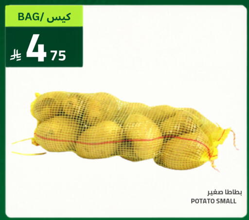 Potato available at أسواق أسترا in مملكة العربية السعودية, السعودية, سعودية - تبوك