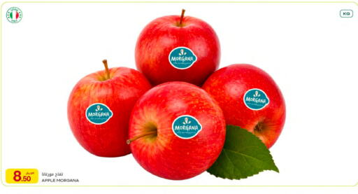 Apple from Italy available at شركة الميرة للمواد الاستهلاكية in قطر - الشمال