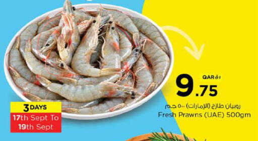 available at Nesto in Qatar - Al Rayyan