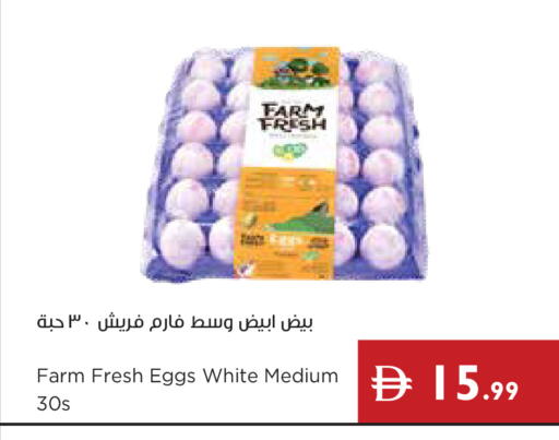 available at Istanbul Supermarket in UAE - Dubai