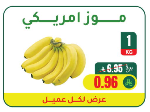 available at الهاجري للأغذية in مملكة العربية السعودية, السعودية, سعودية - خميس مشيط