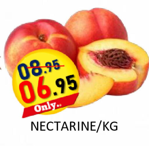 Nectarine available at رويال جلف هايبرماركت in الإمارات العربية المتحدة , الامارات - أبو ظبي