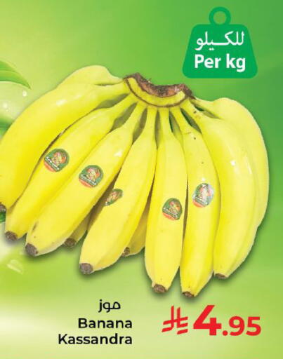 Banana available at كبايان هايبرماركت in مملكة العربية السعودية, السعودية, سعودية - ينبع