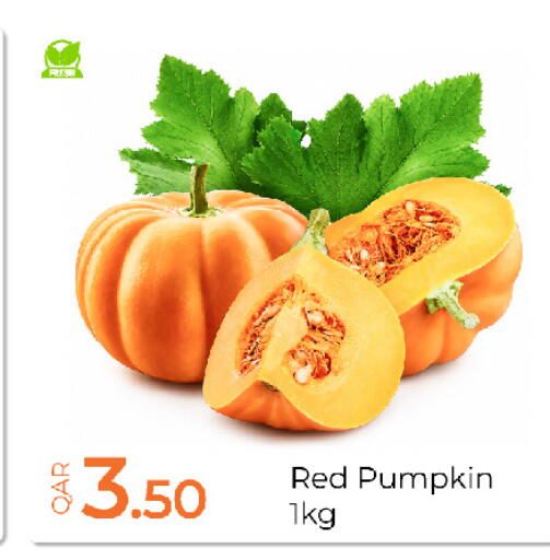 Pumpkin available at جي-ماكس هايبرماركت in قطر - الدوحة