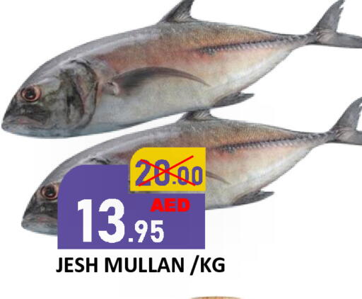 available at رويال جلف هايبرماركت in الإمارات العربية المتحدة , الامارات - أبو ظبي