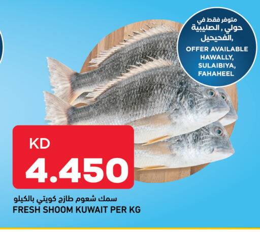 available at أونكوست in الكويت - مدينة الكويت