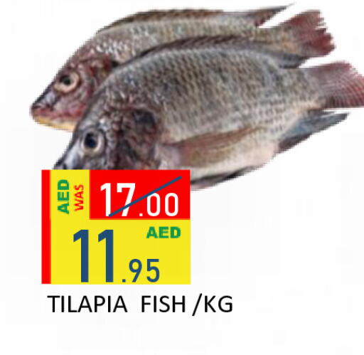 available at رويال جلف هايبرماركت in الإمارات العربية المتحدة , الامارات - أبو ظبي