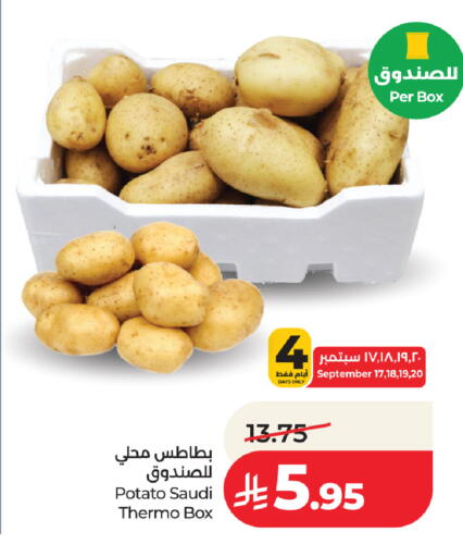 Potato from Saudi Arabia available at لولو هايبرماركت in مملكة العربية السعودية, السعودية, سعودية - جدة