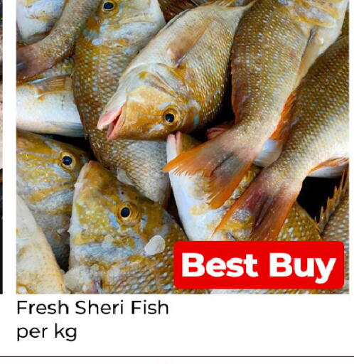 available at Mubarak Hypermarket Sharjah in UAE - Sharjah / Ajman