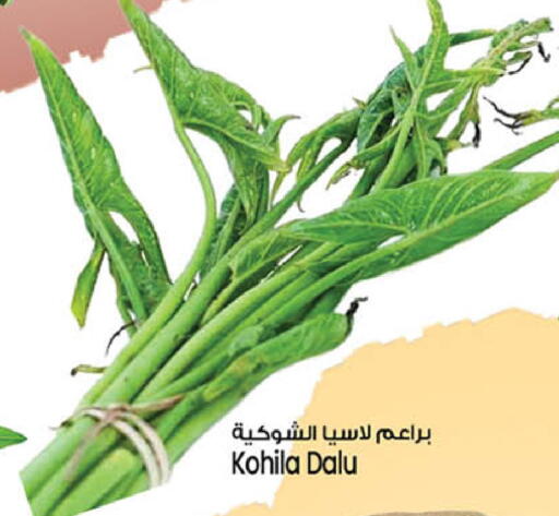 available at سفاري هايبرماركت in الإمارات العربية المتحدة , الامارات - دبي