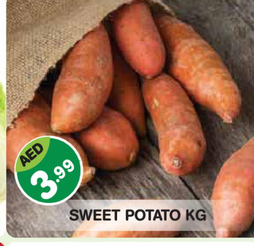 Sweet Potato available at Baniyas Spike  in UAE - Abu Dhabi