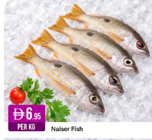 available at West Zone Supermarket in UAE - Abu Dhabi