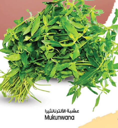 available at سفاري هايبرماركت in الإمارات العربية المتحدة , الامارات - دبي