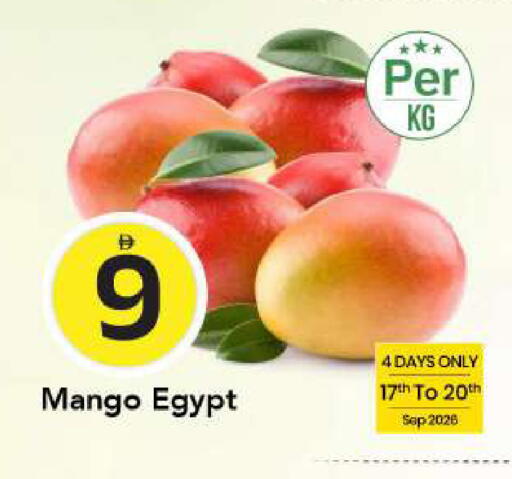 Mango from Egypt available at مارك & سيف in الإمارات العربية المتحدة , الامارات - الشارقة / عجمان