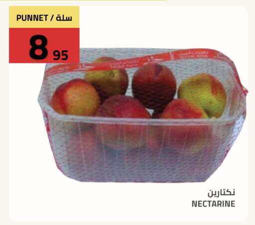 Nectarine available at أسواق أسترا in مملكة العربية السعودية, السعودية, سعودية - تبوك
