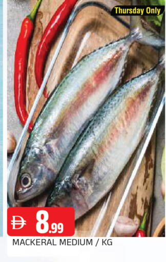 available at AL MADINA in UAE - Sharjah / Ajman