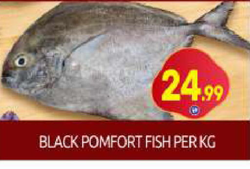 available at BIGmart in UAE - Dubai